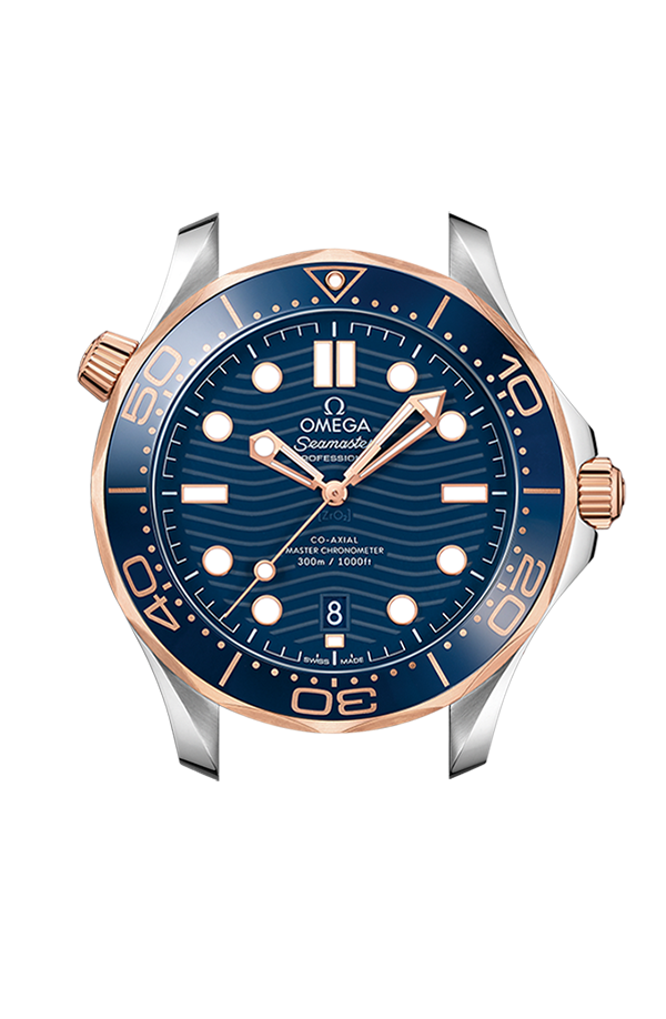 Seamaster Steel Sedna Gold Chronometer Watch 210.22.42.20