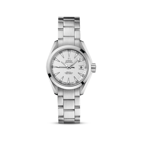 Aqua Terra 150M Seamaster Steel Chronometer Watch 231.10.30.20.02.001 ...