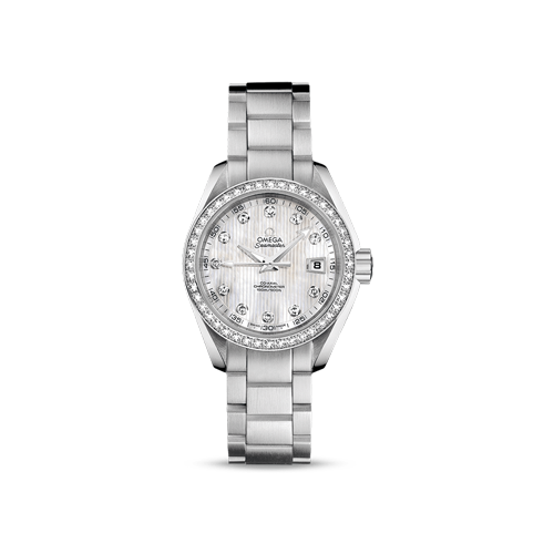Aqua Terra 150M Seamaster Steel Chronometer Watch 231.15.30.20.55.001 ...