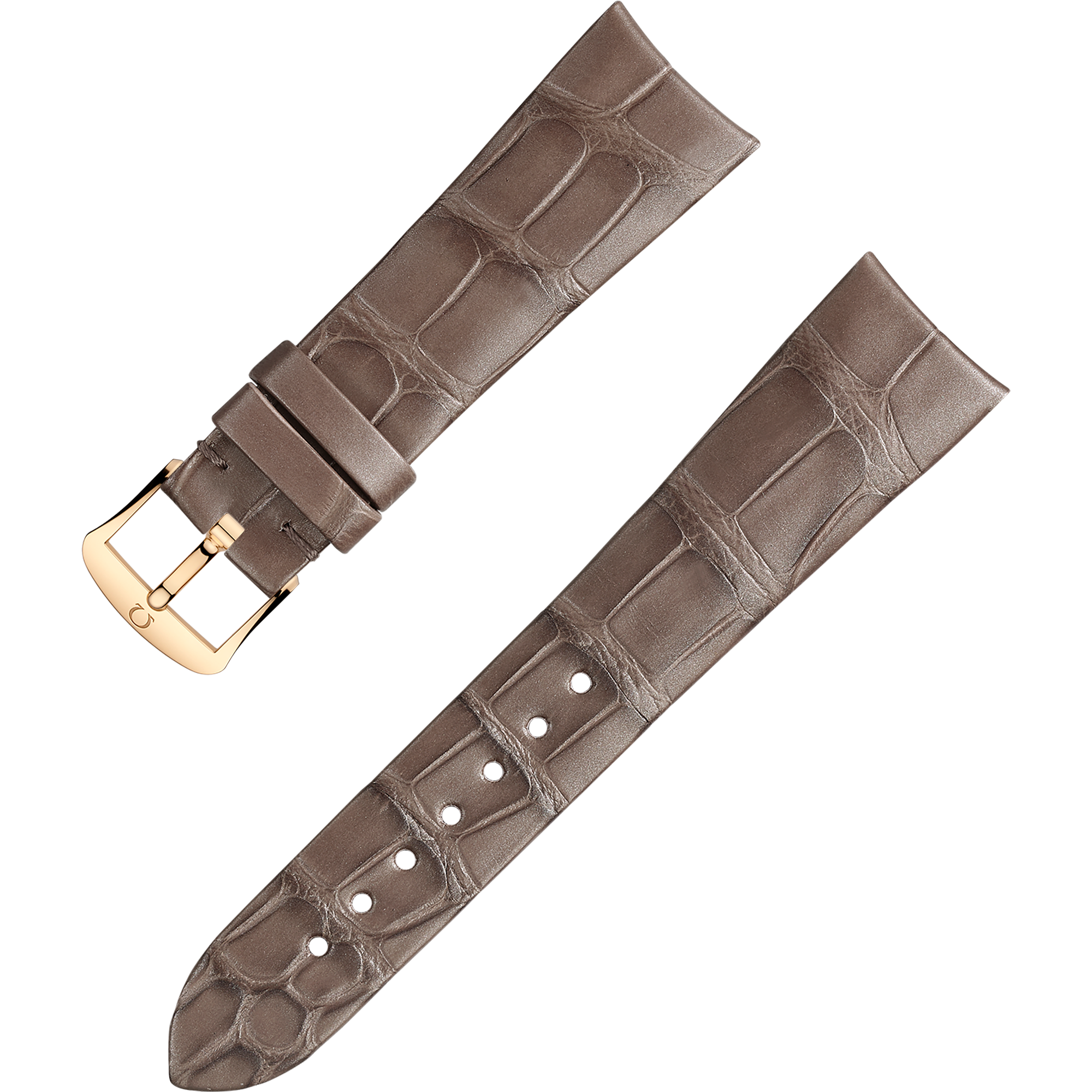 Two-piece strap - Taupe brown alligator leather strap with pin buckle - 032CUZ009874W