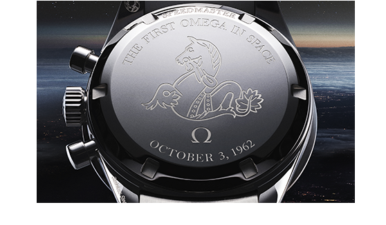 Commemorative caseback - 31030405006001